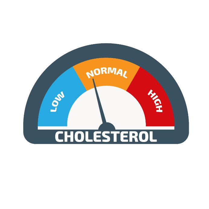 Equilibre cholestérol (TG)